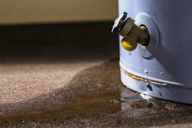 Best 24/7 water damage repair  in Lford, MI