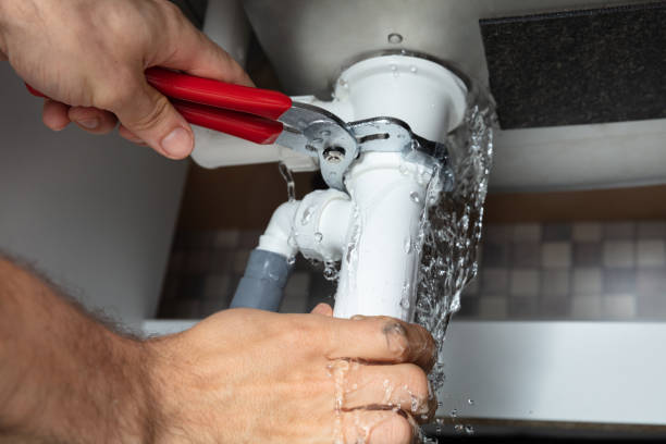 Best Flood restoration services  in Lford, MI