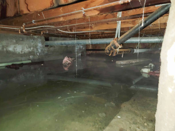 Best Commercial water damage restoration  in Lford, MI