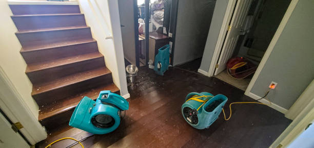Best Flooded house restoration  in Lford, MI