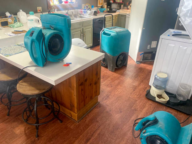 Best Water damage contractors near me  in Lford, MI