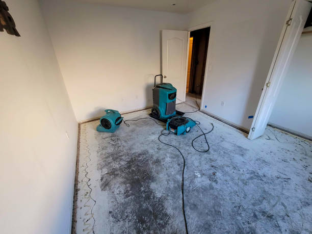 Best Water damage restoration near me  in Lford, MI
