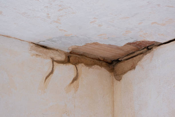 Best Water damage restoration near me  in Lford, MI