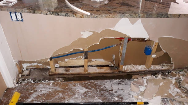 Best Mold removal after water damage  in Lford, MI