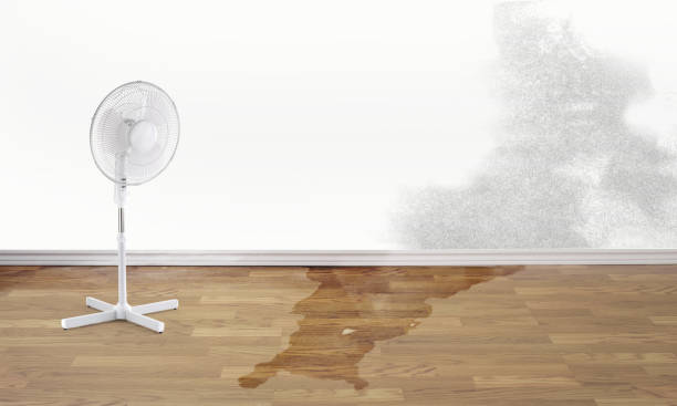 Best Ceiling water damage repair  in Lford, MI