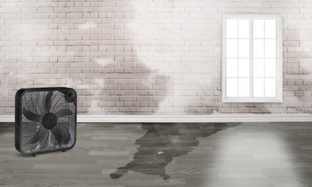 Best Emergency water damage restoration  in Lford, MI