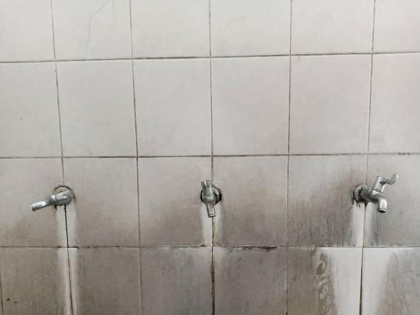 Best Water damage repair service  in Lford, MI