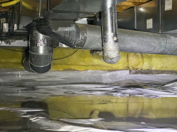 Best 24/7 water damage repair  in Lford, MI