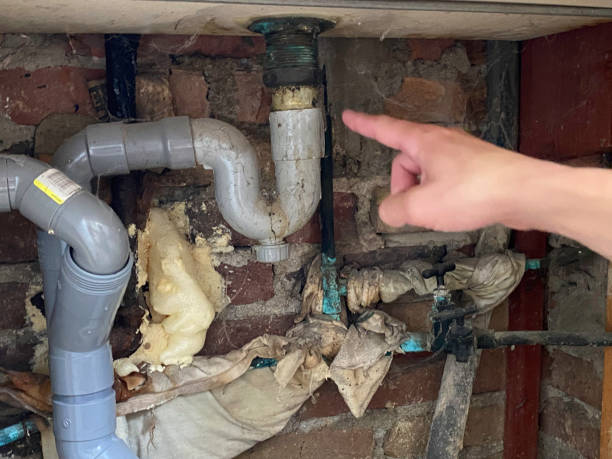Best 24-hour water damage restoration  in Lford, MI