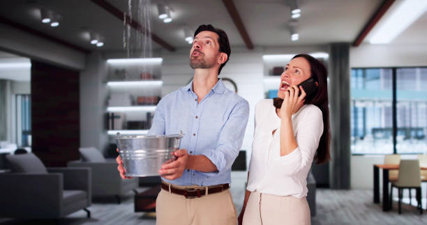 Best Local water damage restoration  in Lford, MI