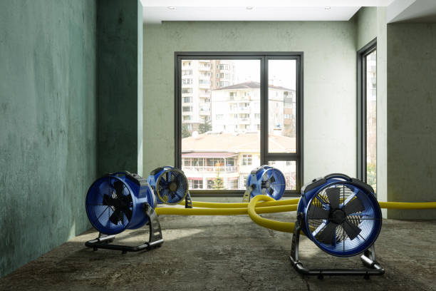 Best Residential water damage restoration  in Lford, MI